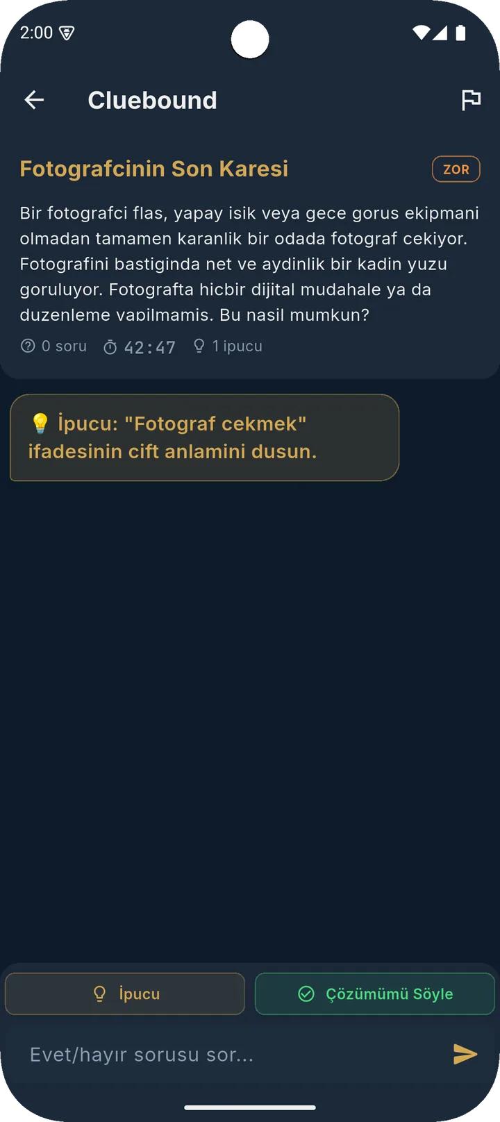 Sorgu ekranı ve ipucu